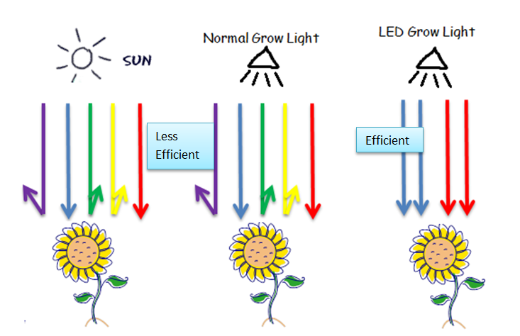 LED grow lights efficient