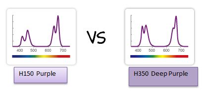 H350 Review