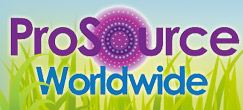 prosource worldwide interview