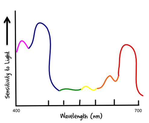 PAR Chart