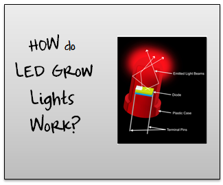 how do LED grow lights work