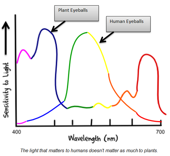 par chart compared to humans