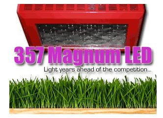 357 Magnum LED Review